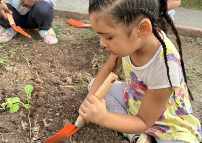 Image 2024-06-28 at 14.02 (66)